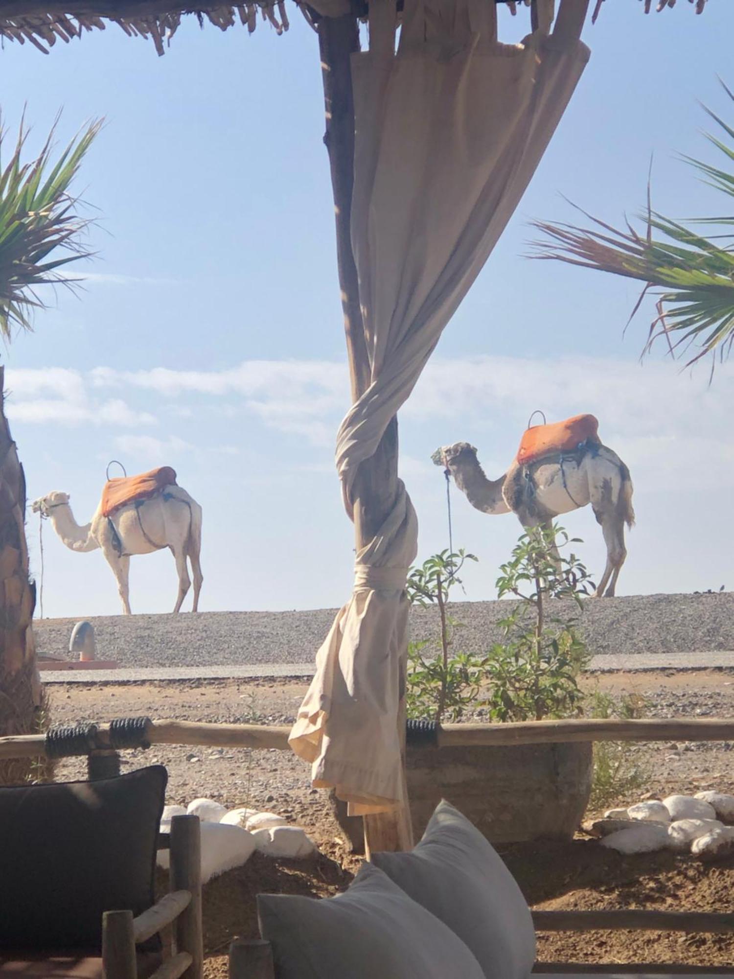 Riad Abbassia Marrakech Premiere Marrakesz Zewnętrze zdjęcie