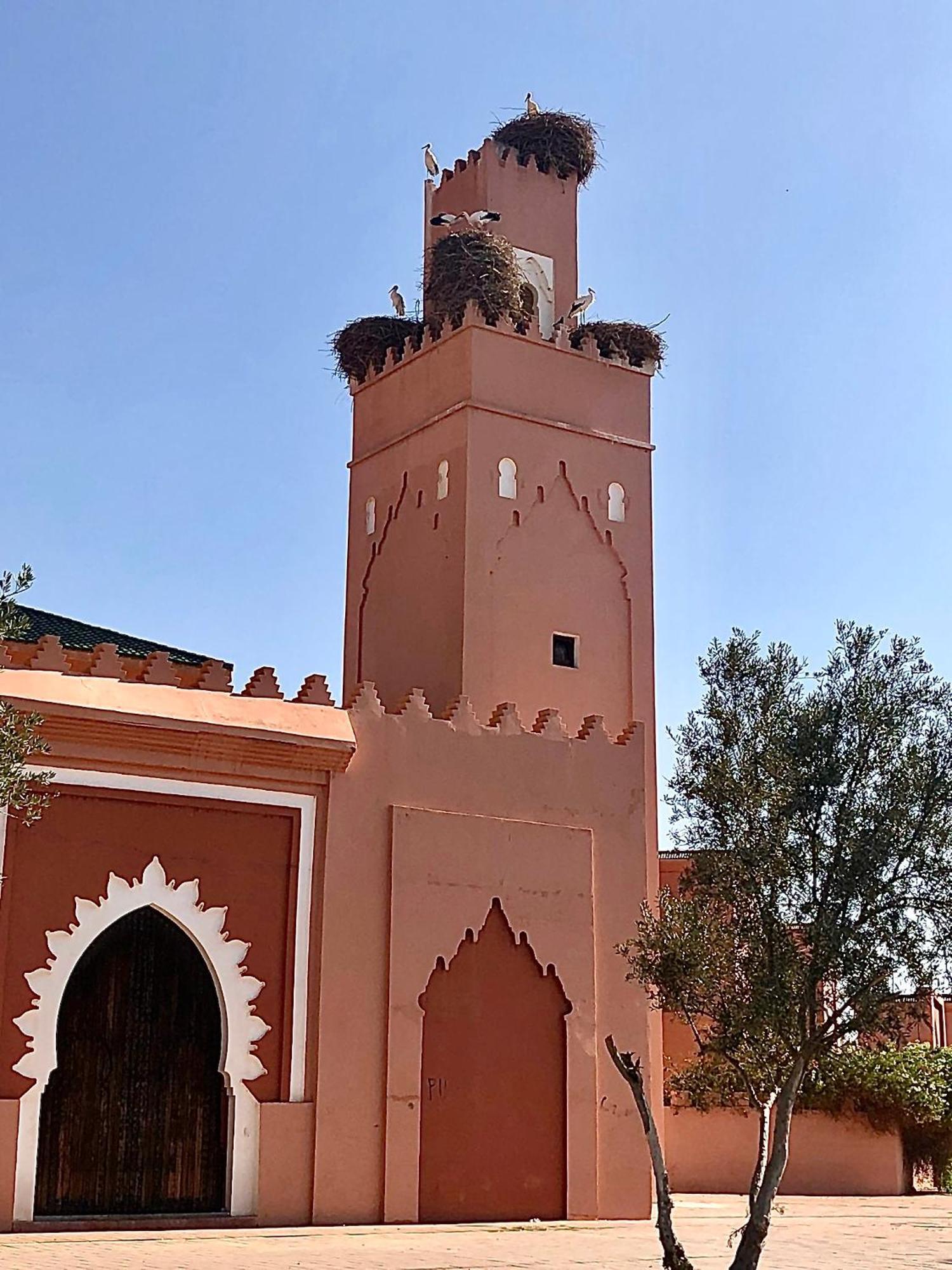 Riad Abbassia Marrakech Premiere Marrakesz Zewnętrze zdjęcie