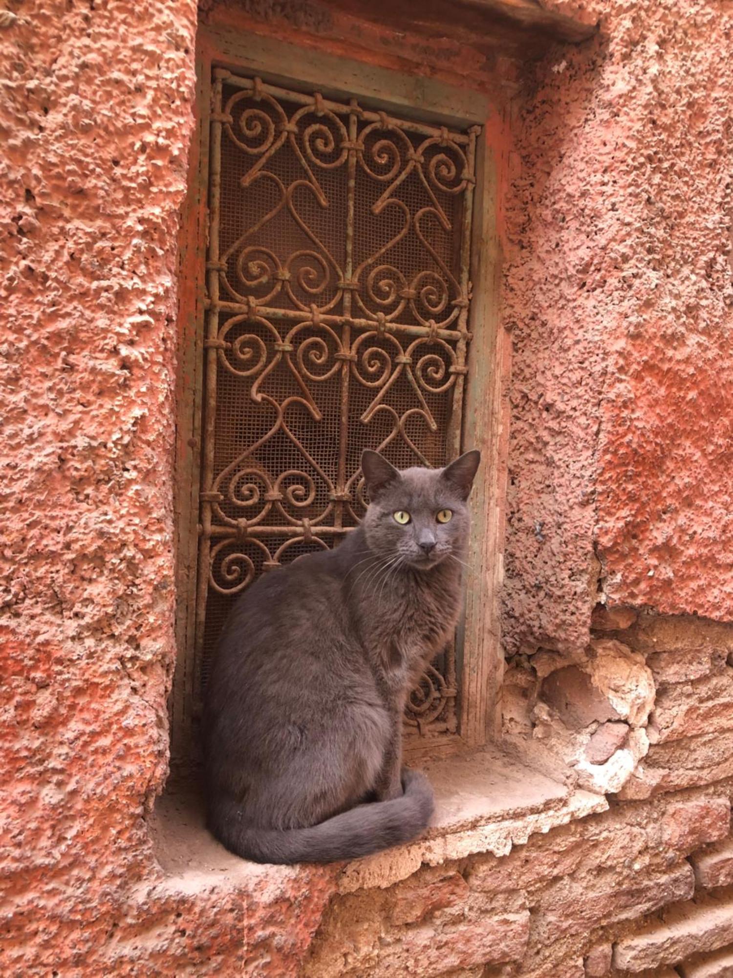 Riad Abbassia Marrakech Premiere Marrakesz Zewnętrze zdjęcie